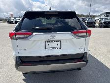 2025 Toyota RAV4 Hybrid XSE - Sunroof - Power Liftgate - Photo 4