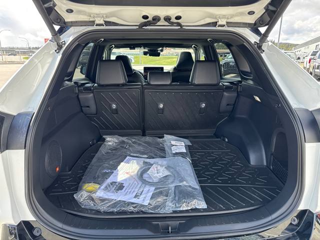 2025 Toyota RAV4 Hybrid XSE - Sunroof - Power Liftgate - Photo 6