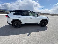 2025 Toyota RAV4 Hybrid XSE - Sunroof - Power Liftgate - Photo 8