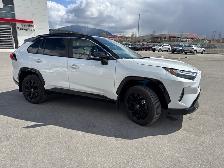 2025 Toyota RAV4 Hybrid XSE - Sunroof - Power Liftgate - Photo 13
