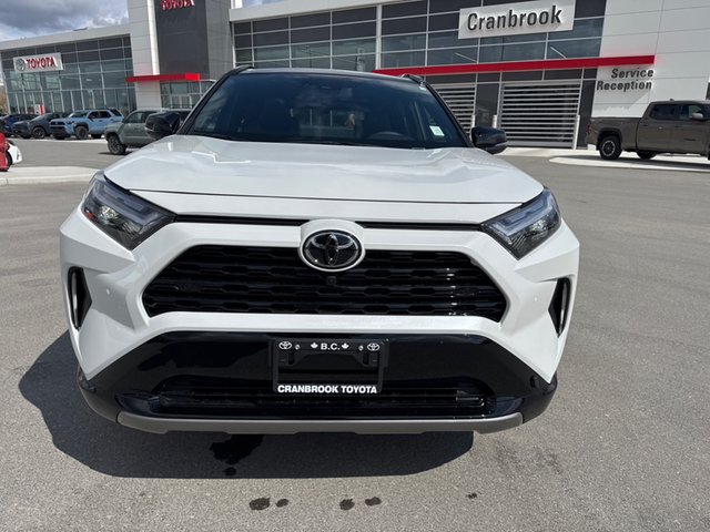 2025 Toyota RAV4 Hybrid XSE - Sunroof - Power Liftgate - Photo 14