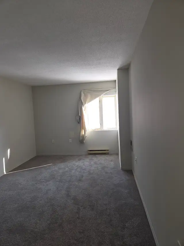 One Bedroom Apartment Condo Rental - Photo 10