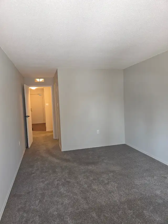 One Bedroom Apartment Condo Rental - Photo 11