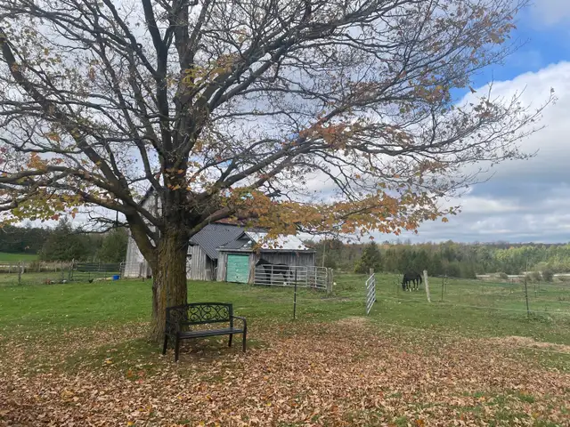 ROOM FOR RENT ON HORSE HOBBY FARM - Photo 3