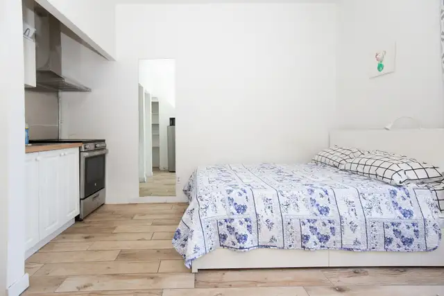 Furnished Studio Downtown - Photo 4