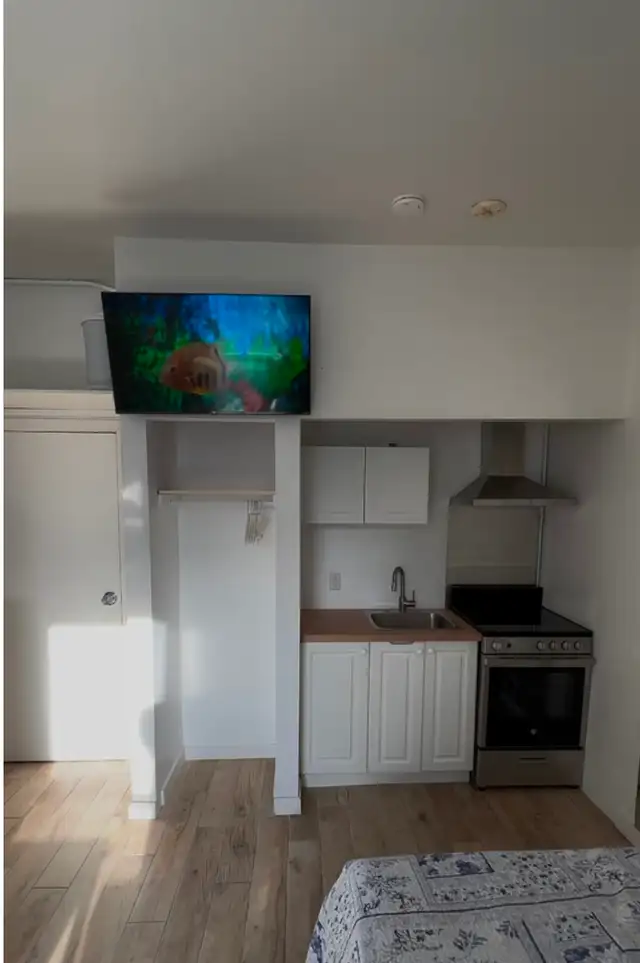 Furnished Studio Downtown - Photo 10