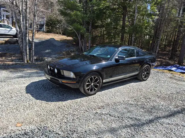 2005 mustang - Photo 2