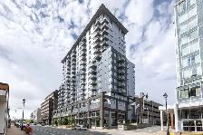 19 Twenty Halifax Apartments - 1 Bedroom available at 1920 Bruns