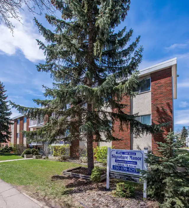 Signature Manor - 1 Bedroom Apartment for Rent - Photo 2