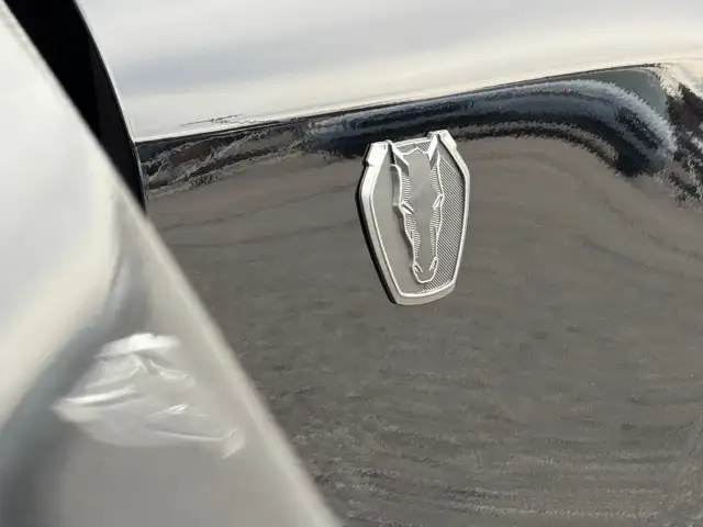 2024 Ford Mustang - Photo 9