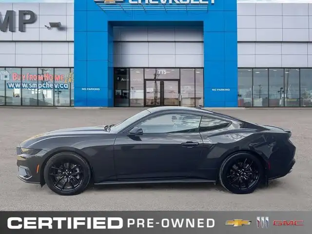 2024 Ford Mustang EcoBoost Premium | Nite Pony Pkg |