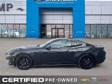 2024 Ford Mustang EcoBoost Premium | Nite Pony Pkg |