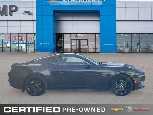 2024 Ford Mustang EcoBoost Premium | Nite Pony Pkg | - Photo 6