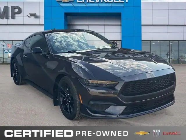 2024 Ford Mustang EcoBoost Premium | Nite Pony Pkg | - Photo 7