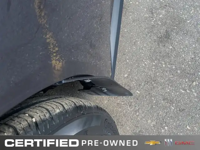 2024 Ford Mustang EcoBoost Premium | Nite Pony Pkg | - Photo 10