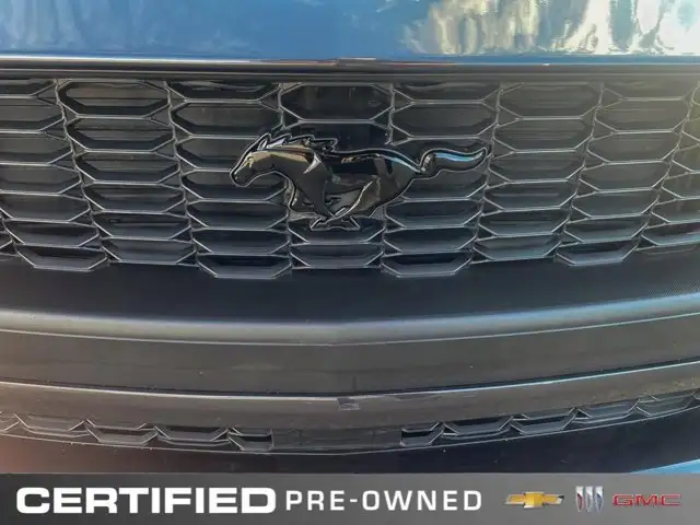 2024 Ford Mustang EcoBoost Premium | Nite Pony Pkg | - Photo 12