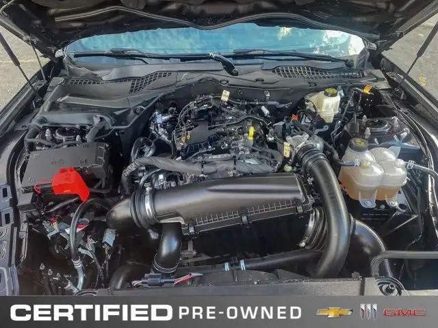 2024 Ford Mustang EcoBoost Premium | Nite Pony Pkg | - Photo 13