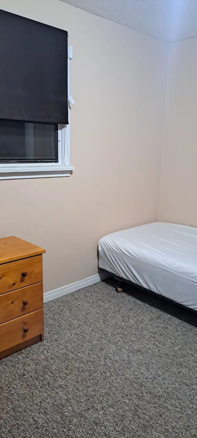 Room for rent - Camrose - Photo 6
