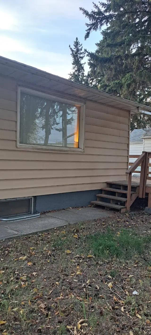 Room for rent - Camrose - Photo 10