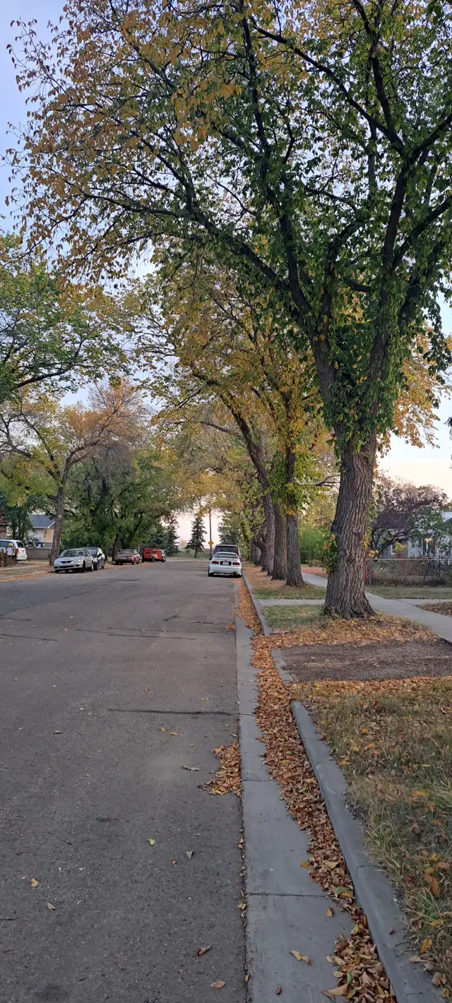 Room for rent - Camrose - Photo 11