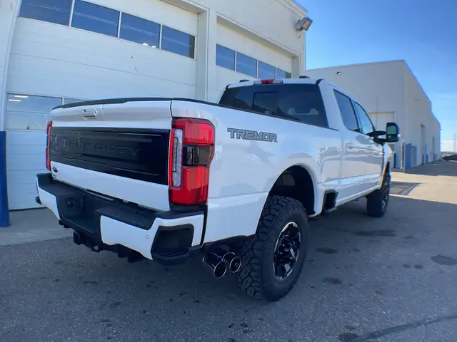 2026 Ford Super Duty F-350 SRW Platinum 713A - Photo 5