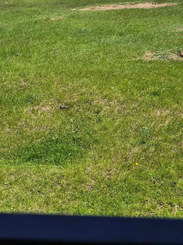 recherche aide aux devoirs a la maison