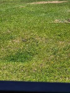 recherche aide aux devoirs a la maison