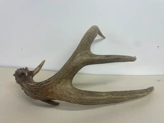 Art & collectables - Photo 3