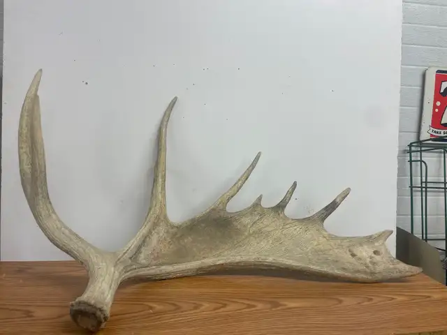 Art & collectables - Photo 2