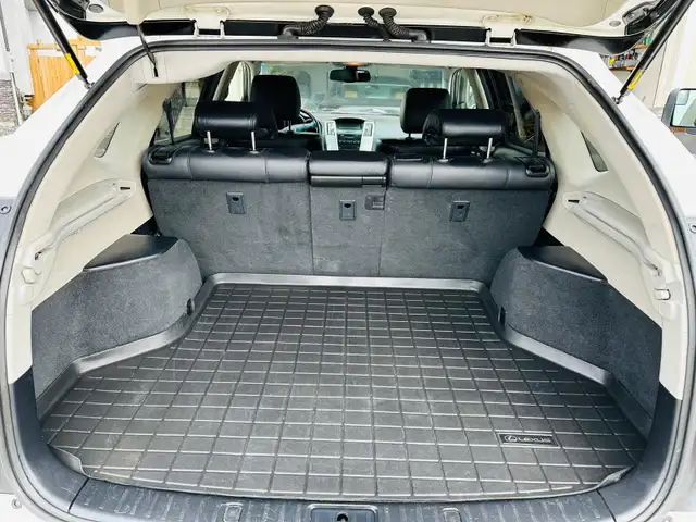 2008 Lexus RX350 - Photo 10