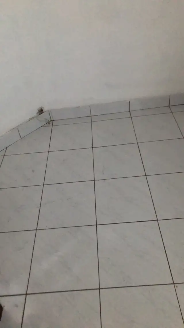 Homme a tout faire 25.00$