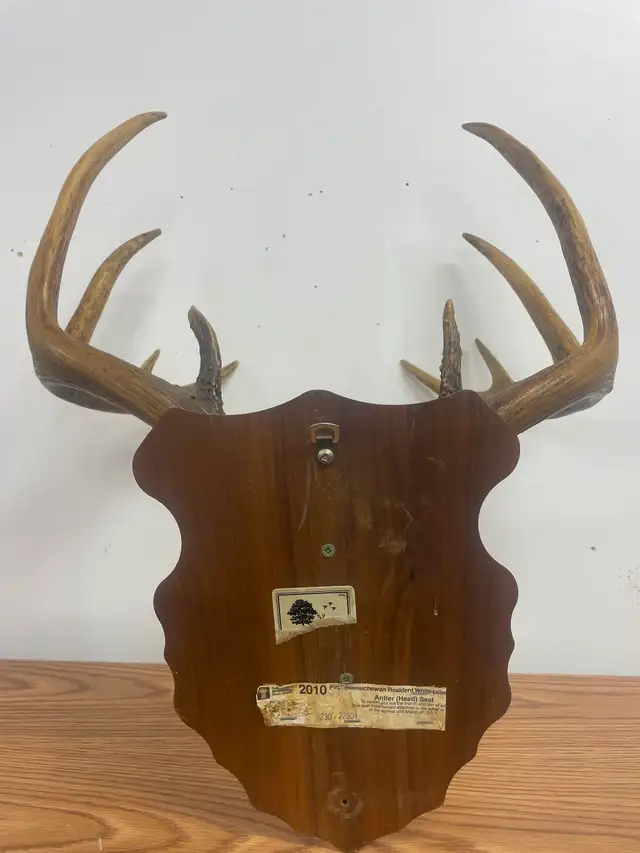 Art & Collectables - Photo 2