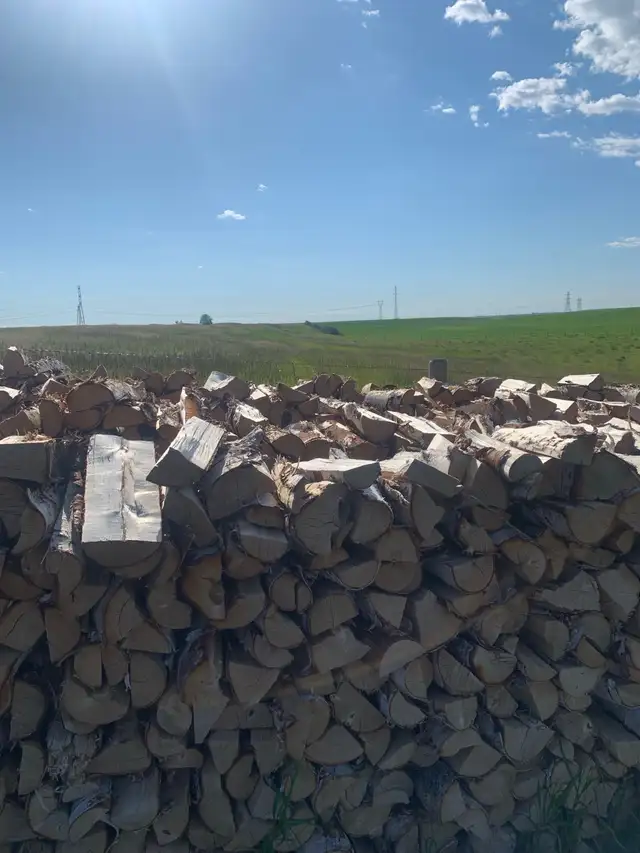 Dry Birch Firewood/ Free Delivery
