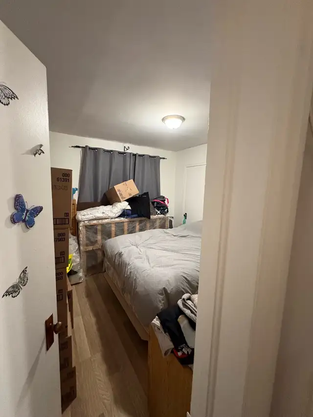 Grand 4 ½ à louer - Saint-Jean-sur-Richelieu - - Photo 4