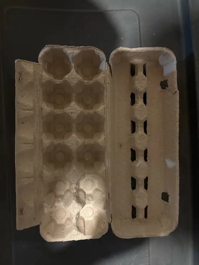 WANTED: Egg cartons