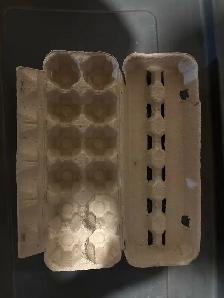 WANTED: Egg cartons