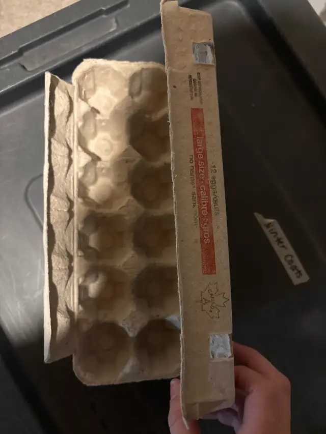 WANTED: Egg cartons - Photo 3