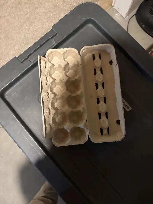 WANTED: Egg cartons - Photo 4