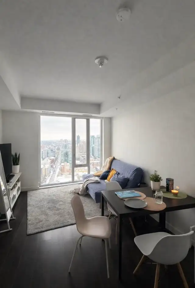 29th floor 1Bd 1 bath - Photo 3