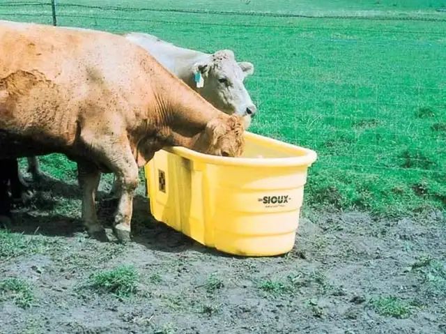 80 Gallon Trough - Photo 2