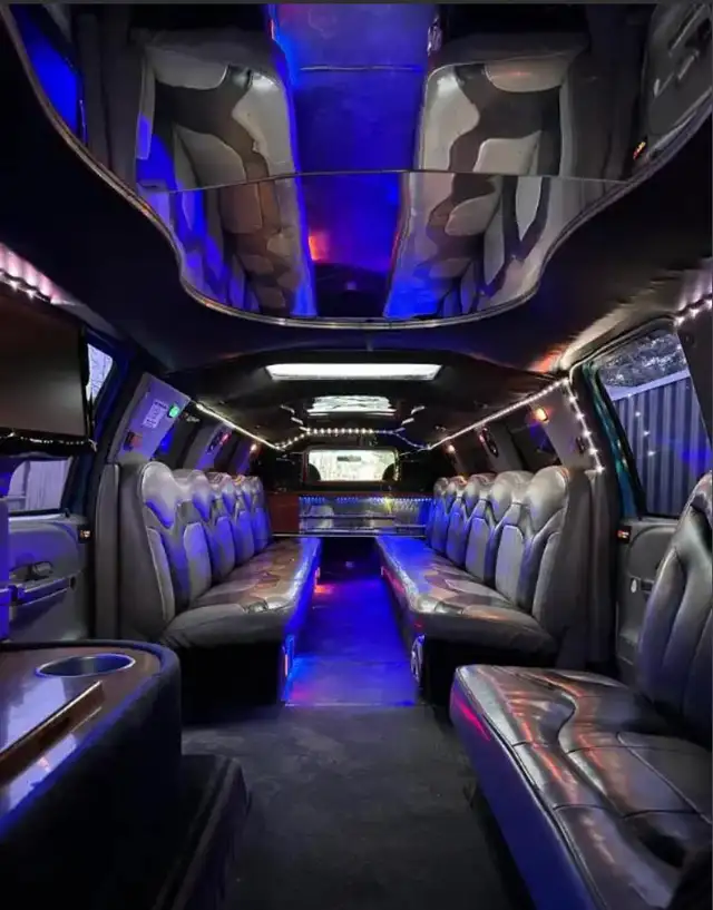 12-14 Passenger Limo-$525 for 3hrs-Big Dream Limousine - Photo 7