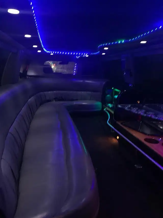 12-14 Passenger Limo-$525 for 3hrs-Big Dream Limousine - Photo 10
