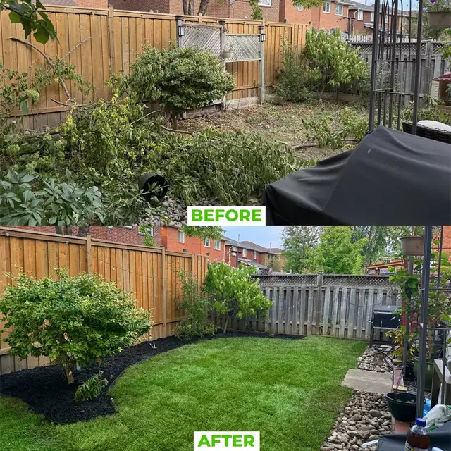 Landscaping Services – Professional & Affordable