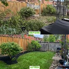 Landscaping Services – Professional & Affordable