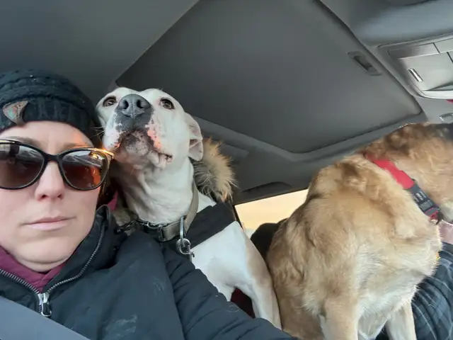 Roxy - your personal cuddle companion - Photo 6