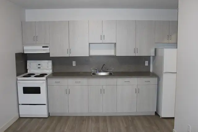 Bachelor Suite Available June 1st (Wolseley Area)! - Photo 2