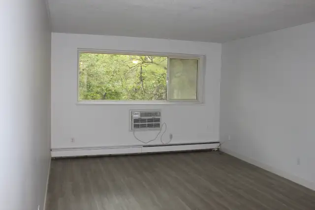 Bachelor Suite Available June 1st (Wolseley Area)! - Photo 4