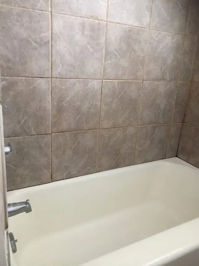 1 Bedroom Suite for Rent - Photo 5