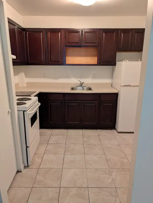 BEAUX GRANDS 3½, CDN près Hôpital Juif, Ste-Justine,HEC,MAI ET J - Photo 2