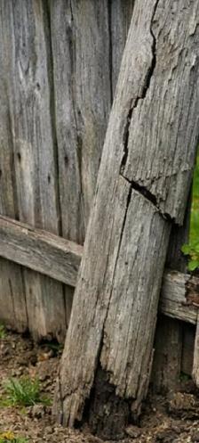 Wood fences repair and metal welding repair anywhere - Photo 5